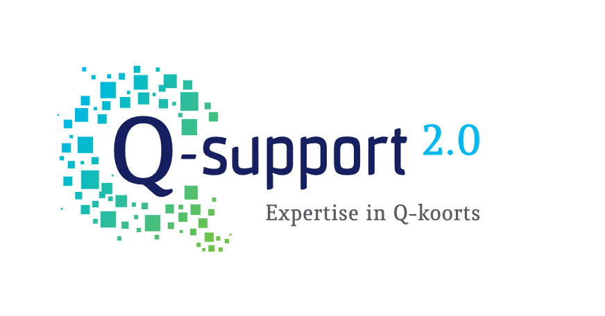 Q-support